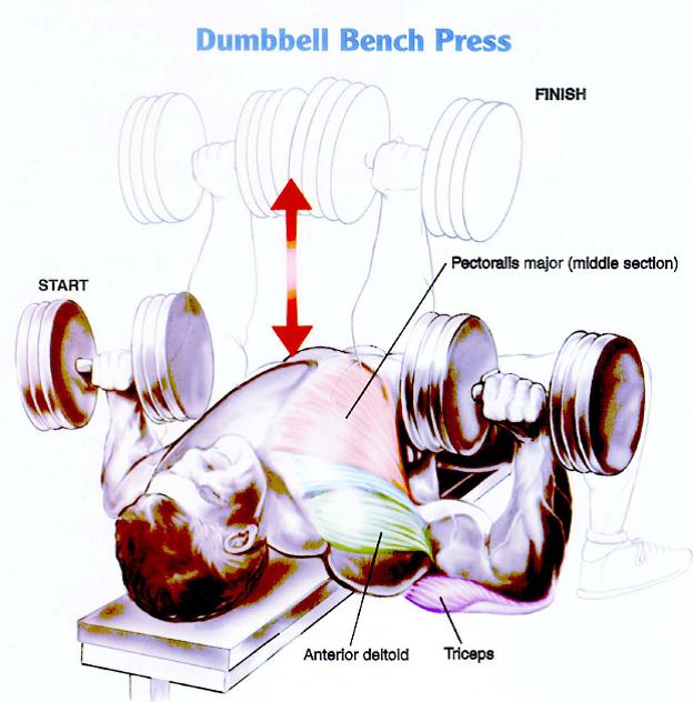 dbbench