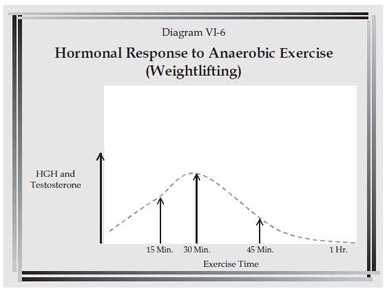 This is the coveted anabolic window when your body will MAXIMIZE any nutrient or nutrient combination whatsoever that you feed yourself. Additionally, metabolism is boosted for 24-48+ hours after a weight lifting session due to energy needs for recovery. 
