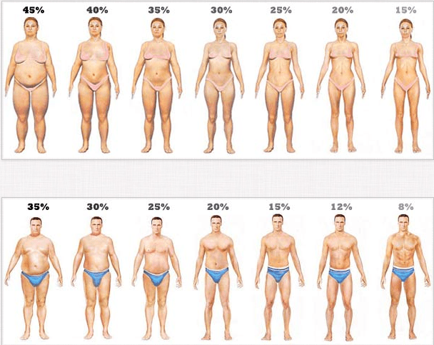Carbs can be your friend, if you stay active