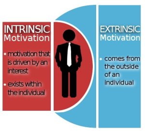 motivationstyle