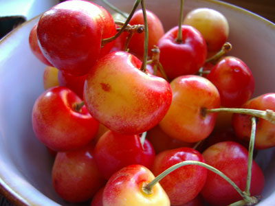 antioxidants