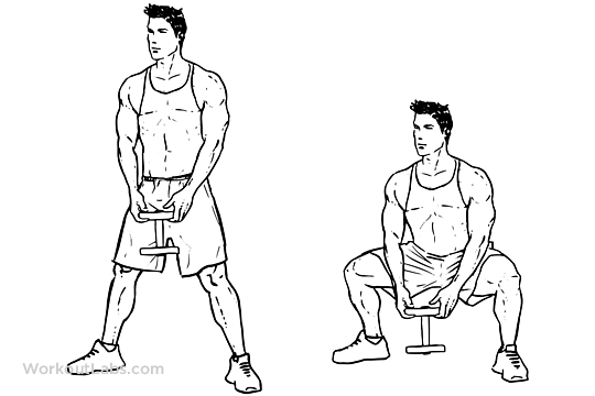 Sumo Squat