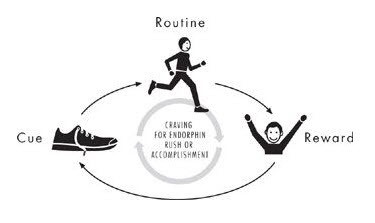 routinerward