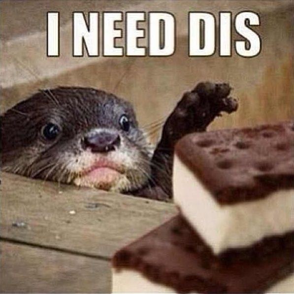 neeeeed.jpg
