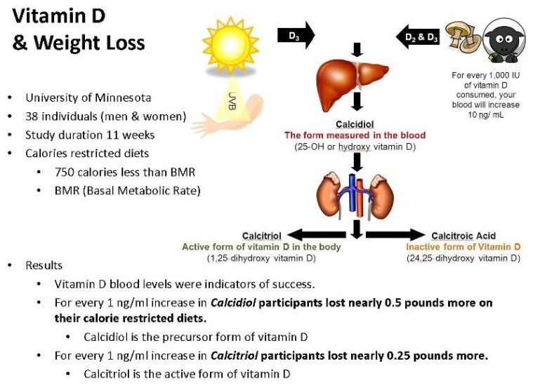 vitamin d weight loss