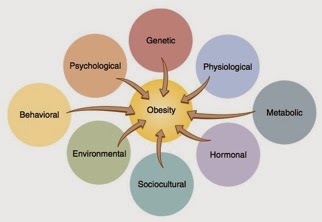 obesity-causes
