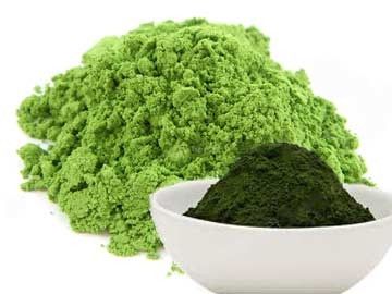 mysecretchlorella
